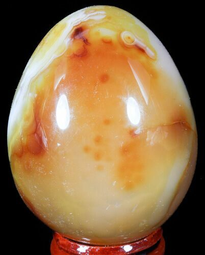 Colorful Carnelian Agate Egg #55530